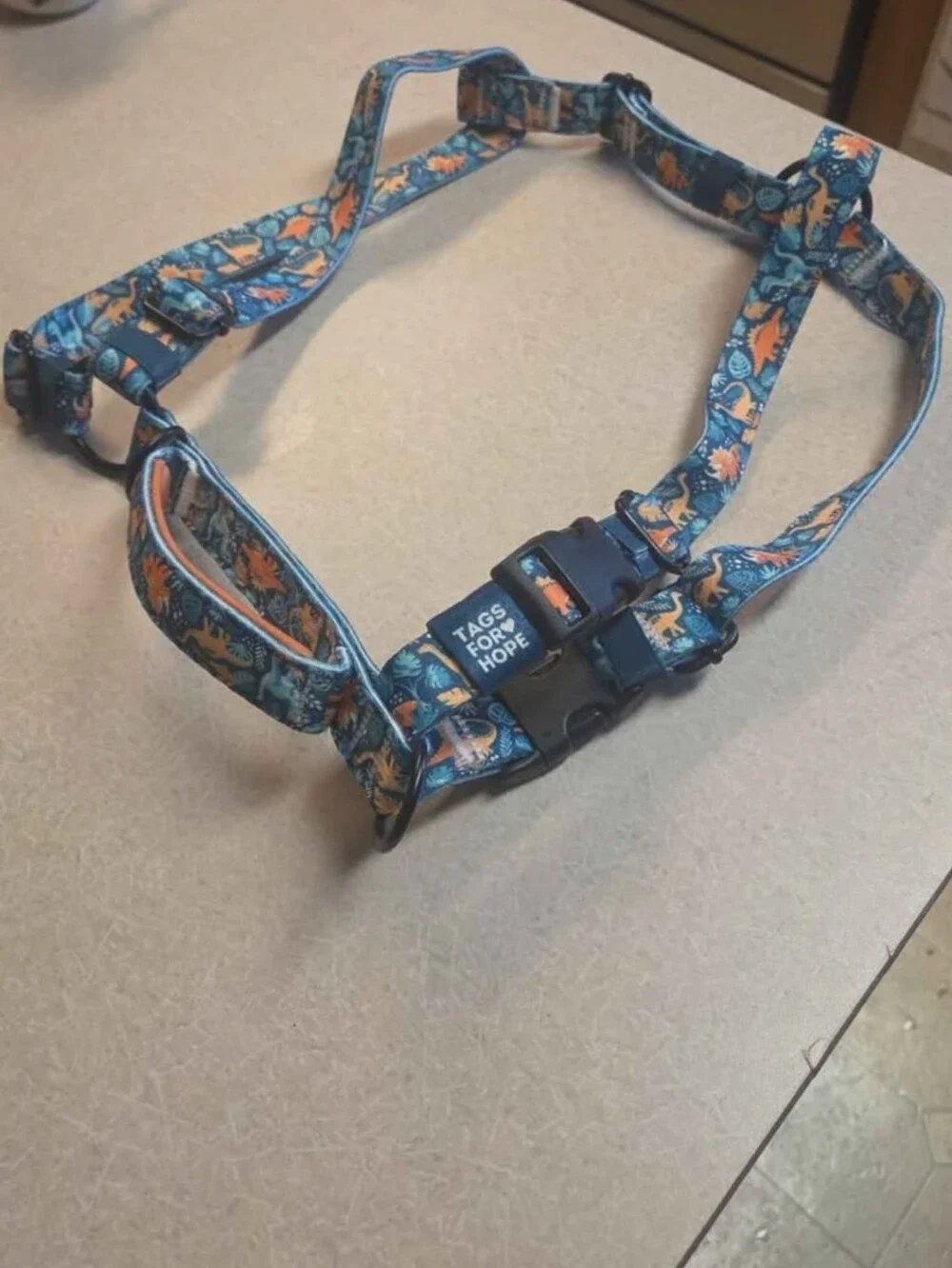 Dino Nugs Moition Harness
